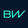 BorgWarner logo